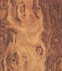 Фурнир Дъб Burl 