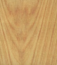 Фурнир Кипарис 