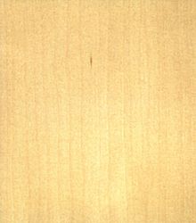 Фурнир Клен радиален 