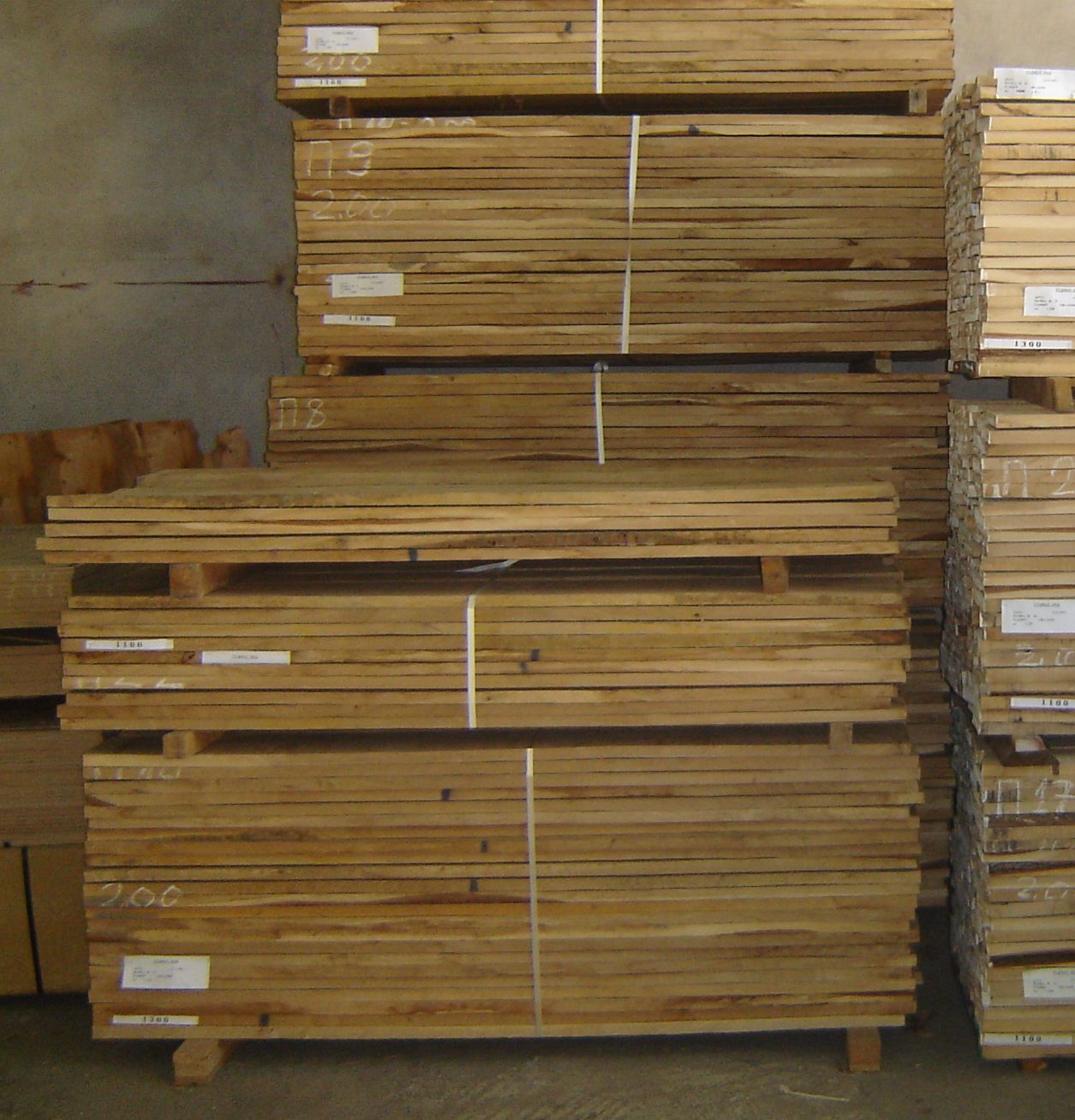 Европейски дъб 